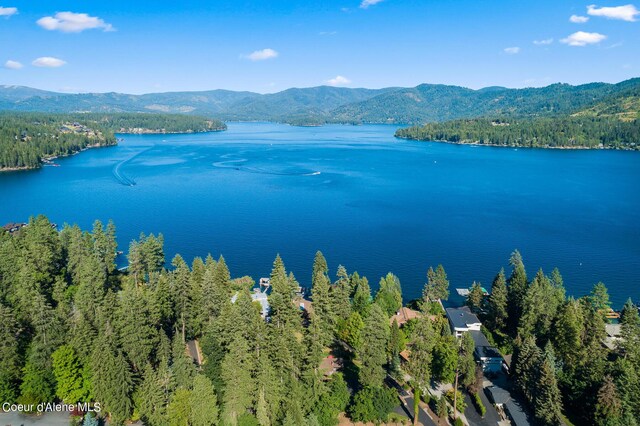 9740 N Easy St, Hayden Lake, ID 83835 - drone / aerial view of a water and mountain view and a heavily wooded area