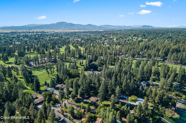 drone / aerial view with a mountain view