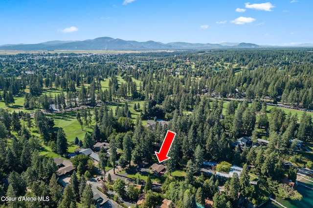 birds eye view of property featuring a mountain view