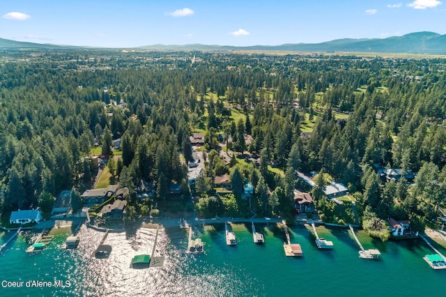 aerial view with a water and mountain view