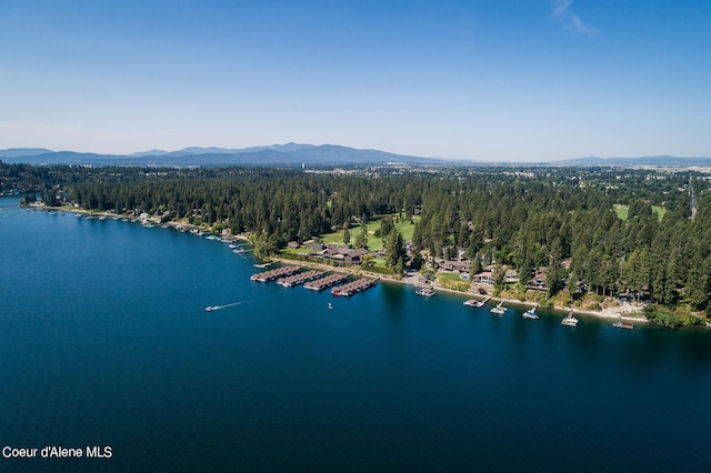 birds eye view of property with a water and mountain view