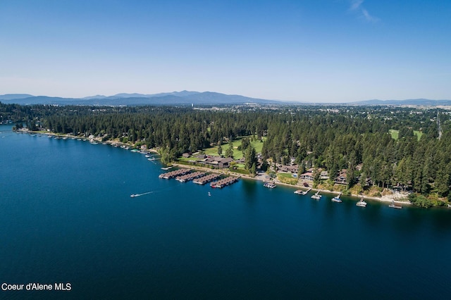 9740 N Easy St, Hayden Lake, ID 83835 - drone / aerial view of a water and mountain view and a forest