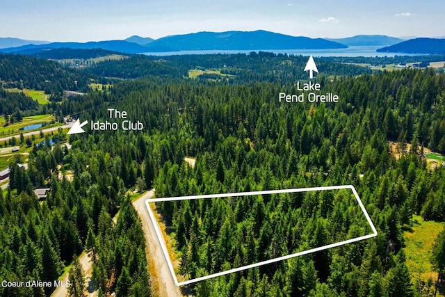 Listing photo 3 for NKA Lower Pack River Rd, Sandpoint ID 83864