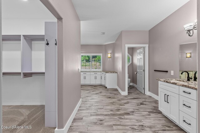 bathroom with vanity, hardwood / wood-style flooring, and toilet