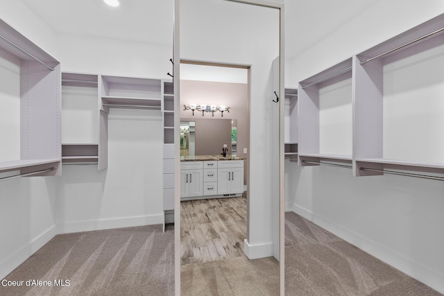 spacious closet featuring sink and light carpet