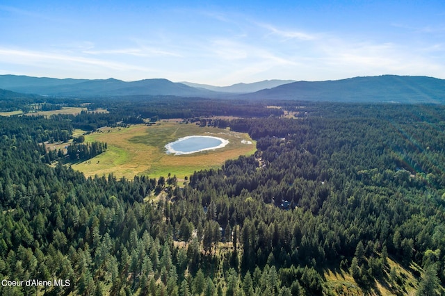 birds eye view of property featuring a mountain view