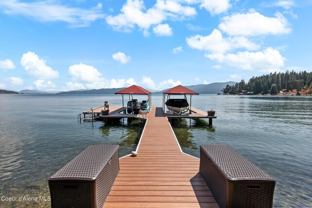 dock area with a water view