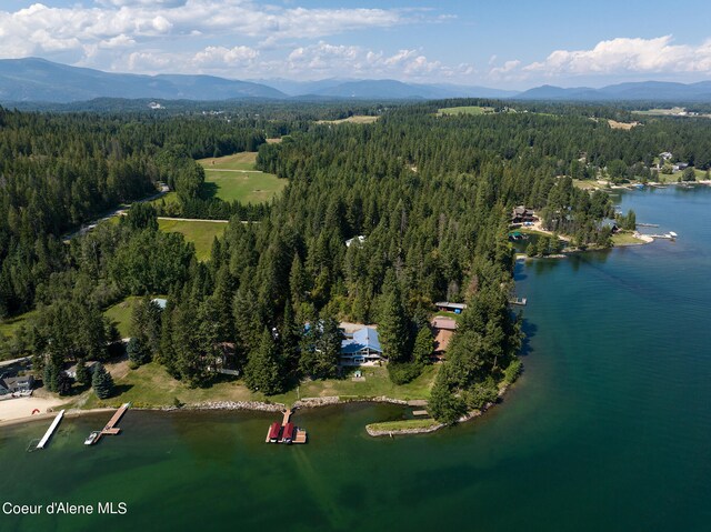 drone / aerial view featuring a water and mountain view