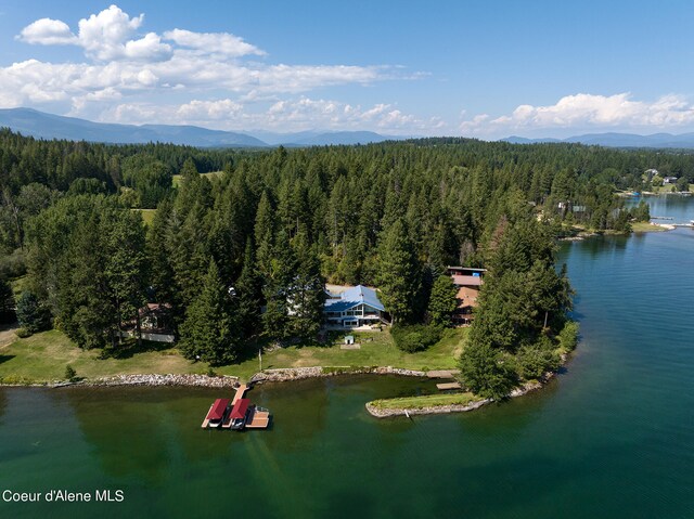 bird's eye view with a water and mountain view