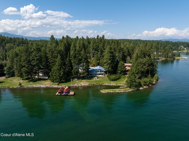 drone / aerial view featuring a water view