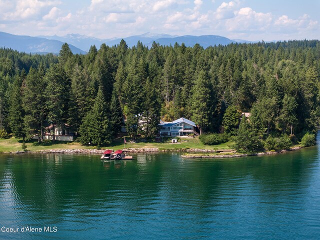 water view featuring a mountain view