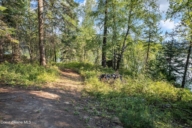 view of local wilderness