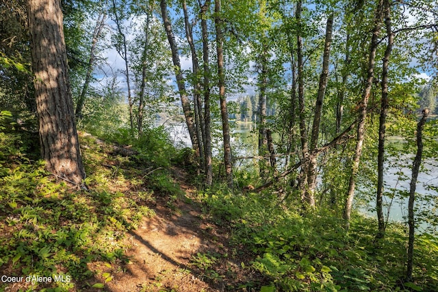 view of landscape featuring a view of trees