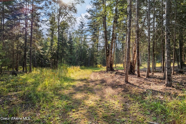 view of nature with a forest view