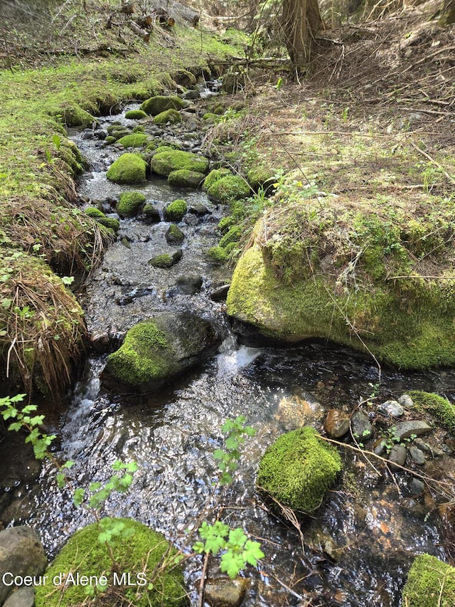 view of local wilderness