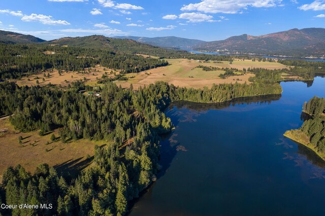 birds eye view of property featuring a water and mountain view