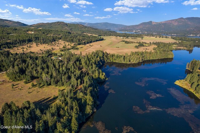 birds eye view of property featuring a water and mountain view