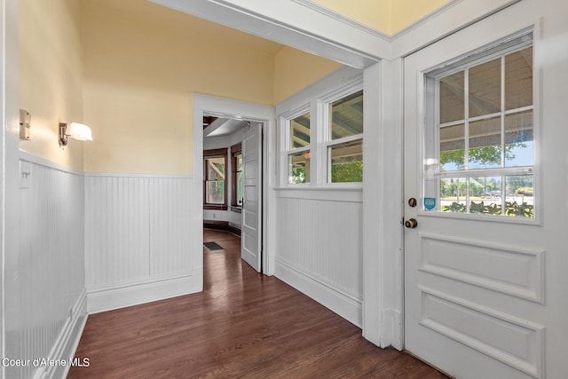 doorway with plenty of natural light and wood-type flooring