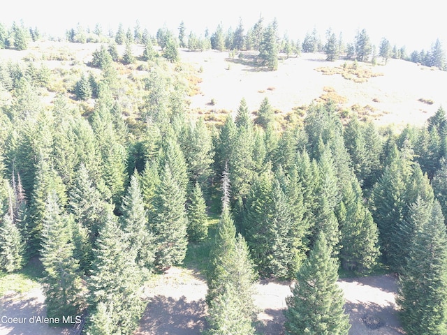 1616 Highland Springs Rd, Saint Maries, ID 83861 - photo 30