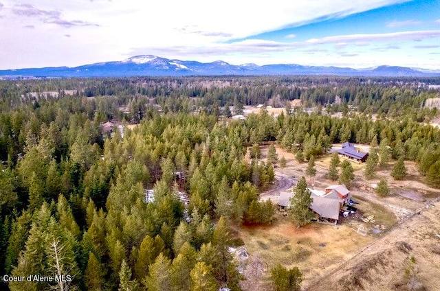 birds eye view of property featuring a mountain view