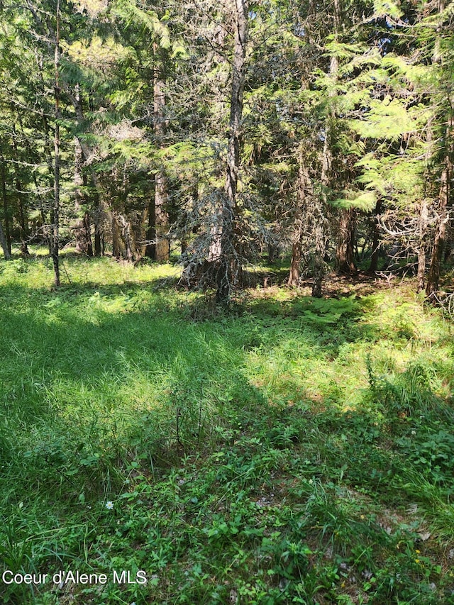 Listing photo 3 for Reserve Ln, Sandpoint ID 83864