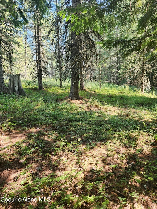 Listing photo 2 for Reserve Ln, Sandpoint ID 83864