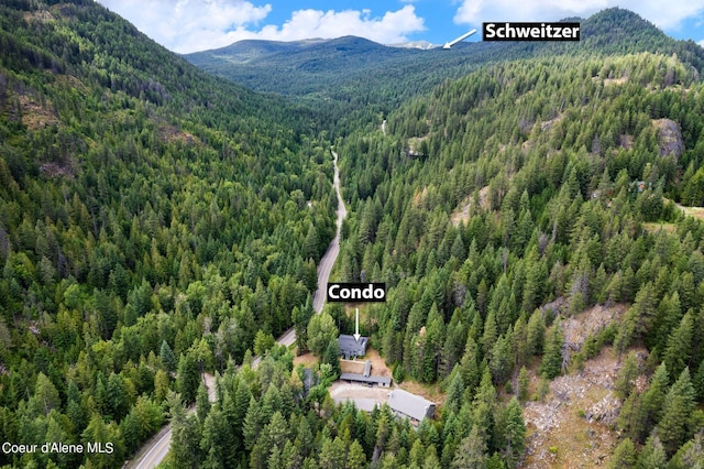 aerial view with a forest view and a mountain view