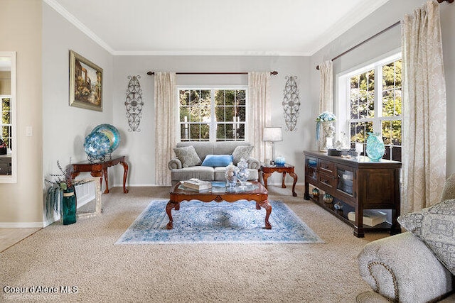 carpeted living room featuring ornamental molding