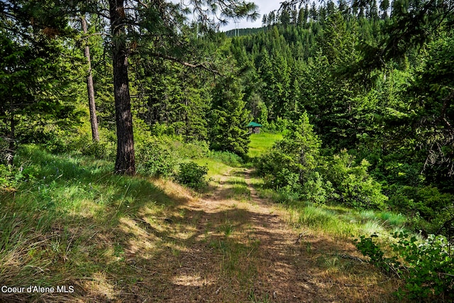 133 Two Tail Rd, Bonners Ferry ID, 83805 land for sale