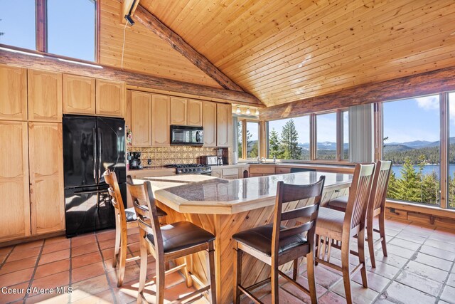 kitchen featuring black appliances, a mountain view, and a healthy amount of sunlight