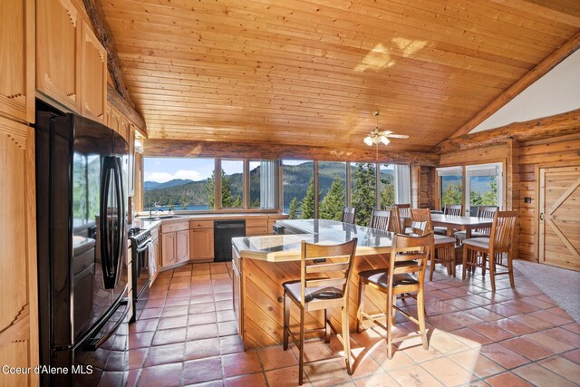 kitchen with a mountain view, plenty of natural light, lofted ceiling, and black appliances