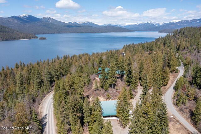 drone / aerial view with a water and mountain view