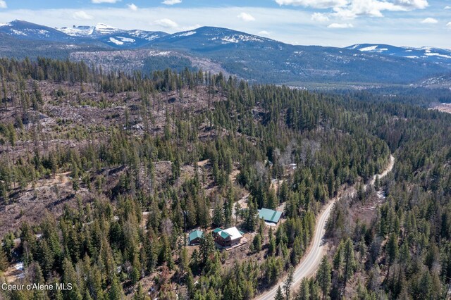 drone / aerial view with a mountain view