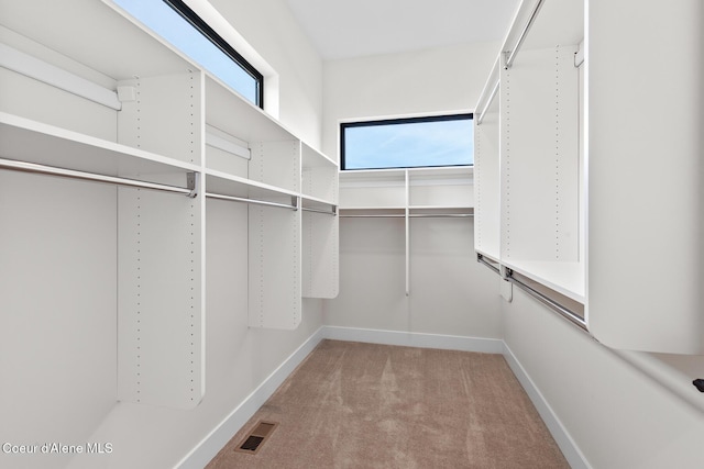 spacious closet featuring carpet and visible vents