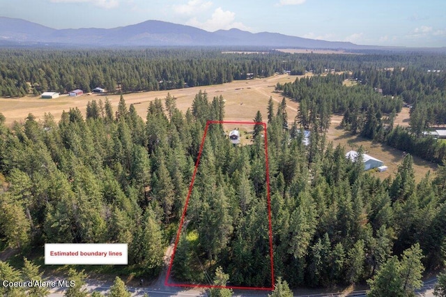 birds eye view of property with a mountain view and a view of trees