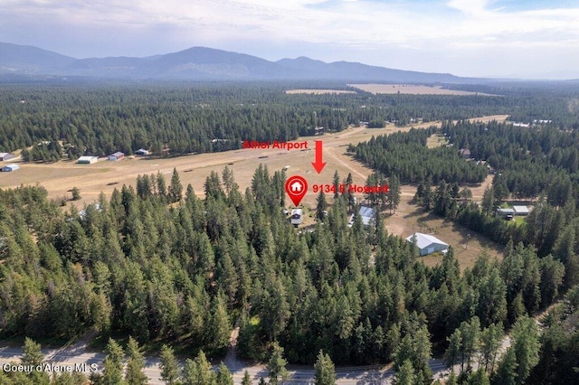 drone / aerial view featuring a mountain view and a wooded view