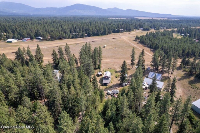 birds eye view of property featuring a mountain view