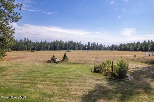 view of yard with a rural view and a forest view