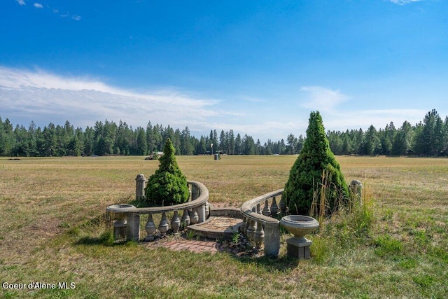 view of yard with a rural view and a view of trees
