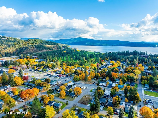 drone / aerial view with a water and mountain view