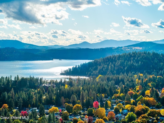 mountain view featuring a water view