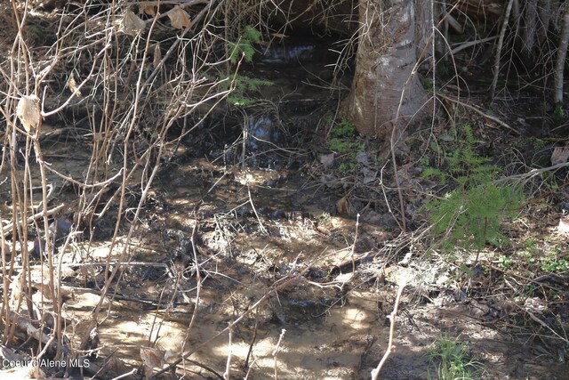 718A Slippery Slope Trl, Priest River, ID 83856 - photo 62