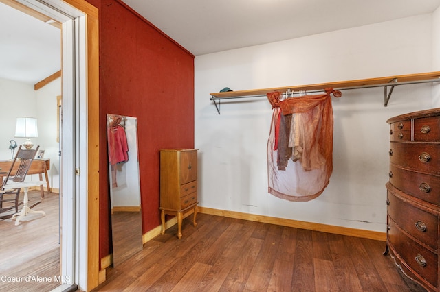 spacious closet with hardwood / wood-style floors