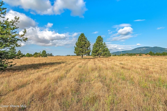 view of local wilderness featuring a rural view and a mountain view