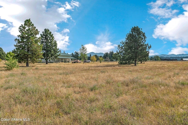 view of yard with a rural view and a mountain view