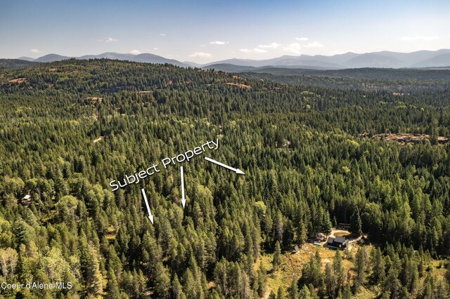 LOT14 Ridge Way, Sandpoint, ID 83864 - photo 3