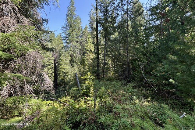 LOT14 Ridge Way, Sandpoint, ID 83864 - photo 8