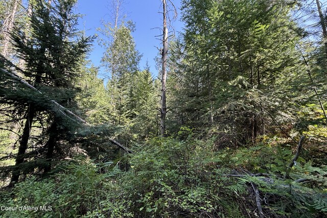 LOT14 Ridge Way, Sandpoint, ID 83864 - photo 9