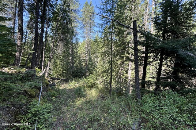 LOT14 Ridge Way, Sandpoint, ID 83864 - photo 10