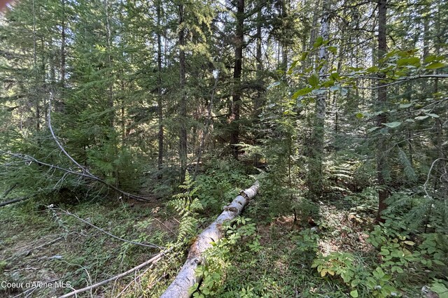 LOT14 Ridge Way, Sandpoint, ID 83864 - photo 11
